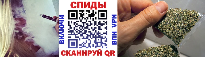 Купить где  Кораблино  Бутират BDO 33% 
