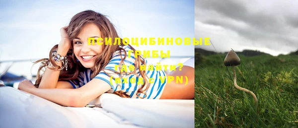 альфа пвп Карпинск
