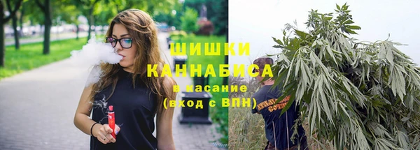 спиды Касимов